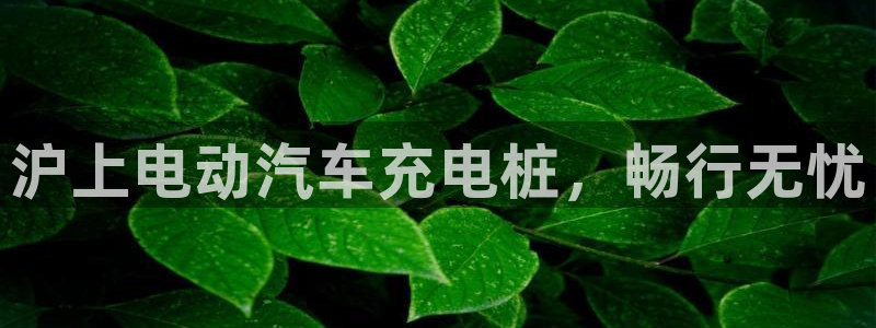 足球员威廉