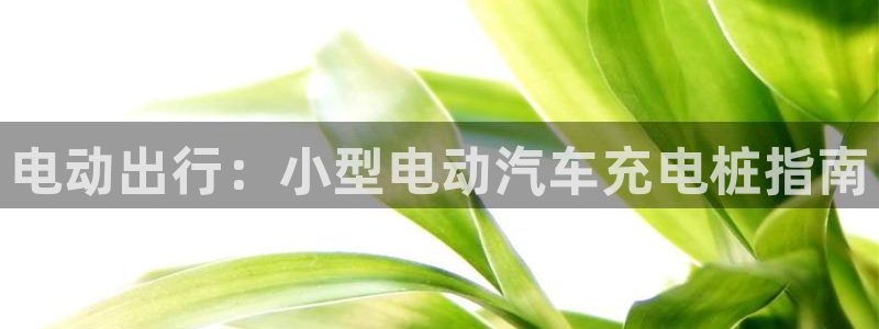 威廉希尔欧洲官网