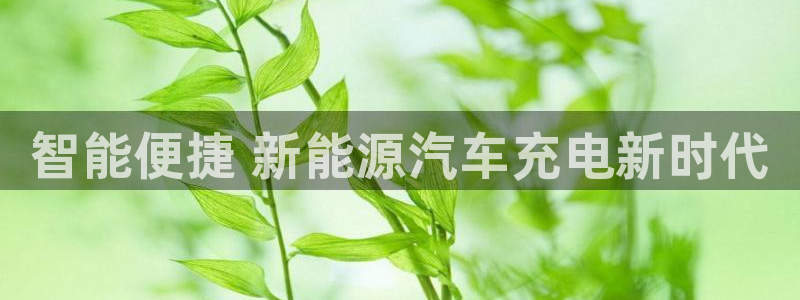 荷甲威廉希尔初赔研究