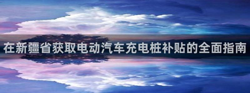 威廉英语app下载安装：在新疆省获取电动汽车充电桩补贴的全面指南